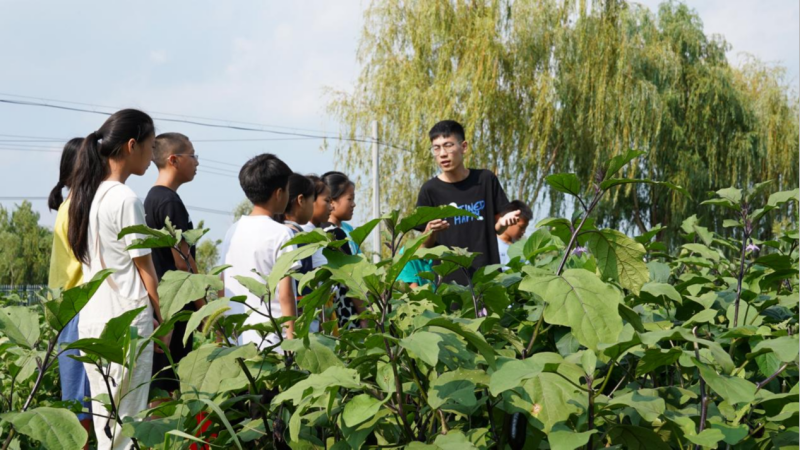 商学院学子在瑶沟爱心暑托班带孩子们前往采摘园上劳动教育课.png